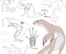 人外系のイラストを描きます TRPG用の立ち絵を安価で依頼可能です！ イメージ3