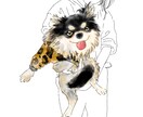虹の橋を渡った【愛犬】を【イラスト】で甦らせます わんちゃんも【より可愛く♡より格好良く⭐︎】描きます イメージ8