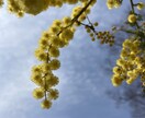 楽しい、嬉しい、腹が立つ、気持に優しく共感します ️ ☘誰かに耳を傾けて、否定しないで話しを聞いて欲しい方へ☘ イメージ3