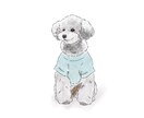 お写真を元に線画イラストを描かせていただきます 写真もいいけど、イラストでしか出せない魅力を〜 イメージ4