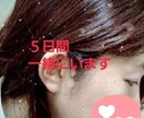 5日間、占い、愚痴聞き、ご相談、何でも承ります 気になることを占い放題、寄り添い放題(*^-^) イメージ1
