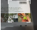 スマホでバーコードを使うWebアプリ開発を受けます QRコードや2次元バーコードも使用可能 イメージ1