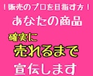 キャンセルOK！あなたの商品売れるように宣伝します 1件売れなければキャンセルOK！販売プロへの近道。 イメージ1