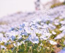 学生の知識やアイデアを提供します 大人ではなく高校生のアイデアを必要としている人にオススメです イメージ1