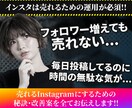 プロがインスタグラム集客導線をフル構築いたします インスタグラム自動化の仕組み構築から導線設計まで一括対応！ イメージ2