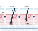 医療・看護・教材イラスト ポップな絵柄で制作します 健康フィットネス系、筋肉・骨格・臓器、医療器具etc… イメージ5