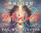 ツインレイの可能性を天啓霊視します 二人の魂の関係と試練の意味を視抜きます イメージ1