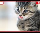 動画の編集をします 動画の編集を代わりにやってほしいあなたへ イメージ1