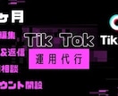 Tik Tok 丸投げで運用代行します 1ヶ月間丸投げでTikTokの運用代行をお任せください！ イメージ1