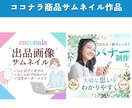 元東大院生がスルッと売り込むココナラサムネ作ります オプションで商品紹介文やテキストもまるごとおまかせ！ イメージ6