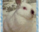 ペットのお話を聞かせて頂いてます うわさ話や自慢話など、気軽にお話下さい。 イメージ2