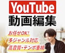 YouTube動画編集＊幅広いジャンルを制作します TikTok・リール動画などの短尺ショート編集も大歓迎です！ イメージ1