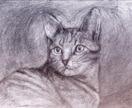 温かみのある鉛筆画でペットさんの絵をお届けします いろいろな動物描けます！記念やプレゼント用に イメージ10