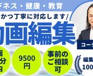 ビジネス系・健康系・教育系の動画編集します お客様のご意向を尊重し、誠実かつ丁寧に対応します イメージ1