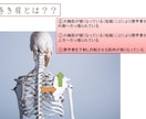 ねこ背気になりませんか？プロがアドバイスします ねこ背を理解しエクササイズで綺麗な姿勢に！vol.2 イメージ3