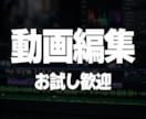 YouTube動画を編集します 実務対応型！助っ人動画編集者！ イメージ1