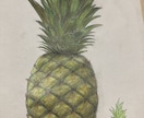 絵を描いたので出品します 可もなく不可もないパイナップルの絵 イメージ1