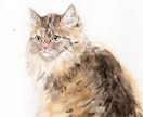 原画納品　猫の肖像画を水彩画で制作します あなたの猫ちゃんをお描きして原画をお届けします。 イメージ2