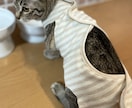 猫のエリザベスウェア、猫の術後服お作り致します 猫にとって避けて通れない避妊手術。伸びない生地で快適に♪ イメージ1