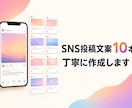 SNS投稿文案10本を丁寧に作成します 投稿のネタ出しから文章化まで丁寧に対応 イメージ1