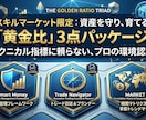 FXの正解を可視化！最強3点ツールが常勝へ導きます 大口の動き・トレンド・環境認識。すべてを揃えた完全版。 イメージ1