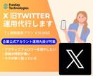 Twitter運用代行、X運用代行を1週間行います 1週間お試しプラン、企業・個人どちらも対応可能です！！ イメージ1