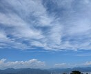 ペット、守護動物、神獣との結び、通訳します ペット、虹の橋を渡ったペット、守護動物等を通訳します。 イメージ2
