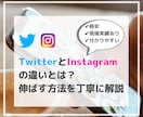 TwitterとInstagramの違いを教えます 現場実績あり！ツイッターとインスタグラムを伸ばす方法を伝授！ イメージ1