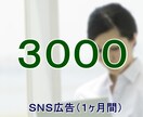 ＳＮＳ広告１ヶ月間、毎日拡散します リニューアルのため、ほかのメニューでお願いいたします！ イメージ1