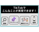 採用特化！プロが1ヶ月間TikTok運用代行します TikTok採用を実績多数のSNSマーケターが全力支援！ イメージ3