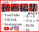 FCPXライブラリ納品可‼︎動画編集承ります あなたの理想の動画を、一緒に作り上げていきましょう！ イメージ1
