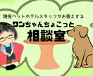 わんちゃんとの生活のお悩みの相談にのります 現役ペットホテルスタッフと話しませんか？ イメージ1