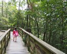 子連れ海外旅行あなただけの最適プラン相談乗ります 海外渡航歴40回以上子連れ海外旅行18回の助産師がアドバイス イメージ1