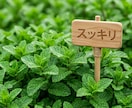 占い依存のエーテルコード☆バッサリカットします 同じことを何度も占い迷い抜け出したい方に。 イメージ1