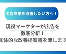 広告の成果を最大化する具体改善書を渡します 広告アカウントを徹底診断/成果が出る構造へ立て直します イメージ1