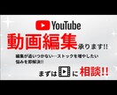 迅速対応★YouTube動画編集承ります 編集が追いつかない、ストックが足りない時に、オススメ! イメージ1