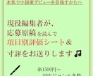 選考員経験者が【新人賞応募作品】アドバイスします 現役編集者が、応募原稿の項目別評価シート＆寸評をお送りします イメージ1