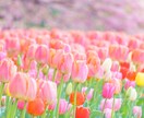 60分チャット悩み・愚痴・相談✨優しく寄り添います 秘密厳守！大丈夫ですか？お話聞きます。一緒に考えましょう☘️ イメージ3