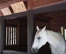 現役霊能者があなたの仕事の宿命を特別網羅霊視します 人間関係、転職の好機、天職、昇進、独立起業まで全てを解明 イメージ5