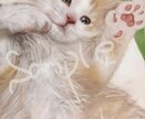 パステル画風にペットの似顔絵を可愛く描きます SNSアイコン、携帯待受、プレゼントなどに イメージ9