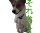 大切なペットのLINEスタンプお作りします 我が家の子をお写真から可愛いスタンプに仕上げます イメージ3
