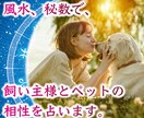 飼い主様とペットの相性を占います 言葉を話せないペットの、持って生まれた星を一緒に見ませんか？ イメージ1