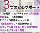 初心者歓迎！楽器転売のプロが3ヶ月コンサルします 3ヶ月コンサル＋無制限ビデオチャット＋オーダーメイド教材 イメージ4