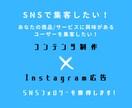 実績多数インスタ1万人フォロワー獲得運用代行します コンテンツ制作×広告運用でインスタフォロワー増やします！ イメージ2