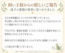 迷子猫を霊視します。７日間継続で捜索相談を承ります 地図霊視・捜索アドバイス｜再会を願う飼い主様を支えます イメージ3