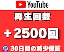 YouTube動画＋2500再生回数増加させます 最大10万再生回数/30日間減少保証付き/即日増加スタート イメージ1