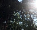 身体の不調から貴方へ伝えたいことをメッセージします どこか不調や気になるところがある方チャネリングします イメージ1
