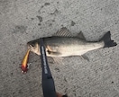 初めてやる釣りはこれ！を伝授致します どんな釣りをする、どんなものを用意すればいいかサポートします イメージ2