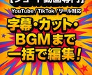 ショート動画編集　早期納品・修正無制限・やります ショート動画専門｜テンポの良い動画を2日以内に納品します イメージ2