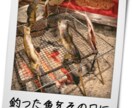 あなたの日本酒の楽しみ方を広げます あなたと日本酒の距離を縮め、豊かな日本酒ライフを提案します。 イメージ6